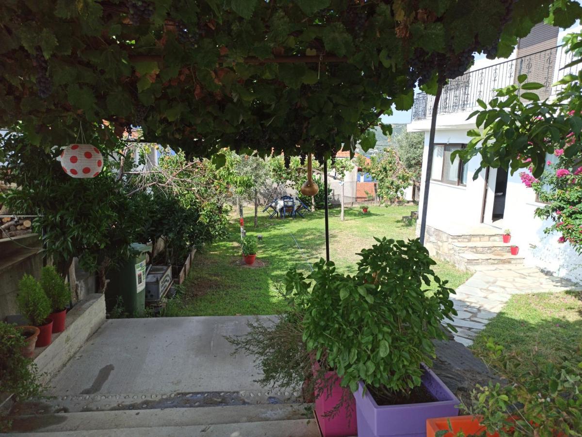 Dora'S House Comfortable Apartment With A Yard And View Pirgadikia Exterior foto